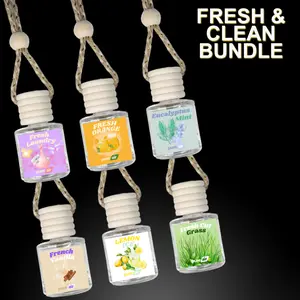 Pure Air Fresh & Clean Air Freshener Bundle of Six - Air Freshener Oil Diffuser - Lasts 60+ Days Aroma Perfume Fragrance hanging Glass Woody