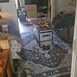 【2026 New Arrivals】Heapets P358 Pet Air Purifier for Home Large Room up to 2000 sq ft, H13 HEPA Double-Sided Air Filter, Air Cleaner for floating pet hair/pet undercoat Dander Odor Allergies Pollutant, PM2.5 Air Quality Monitor, Auto Mode, 5 Speeds