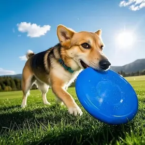 Dog Frisbee Pet Toy, Pet Interactive Training Pet Supplies, Flying Disc, Floating, Bite-resistant, Soft Frisbee