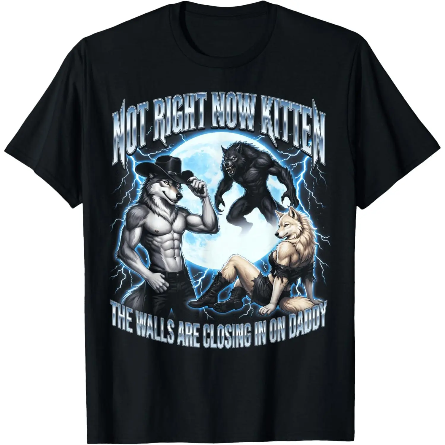 Not Now Kitten Meme T-Shirt, Women's Funny Distressed Cotton Graphic Tee, Casual Short Sleeve Alpha Wolf Top