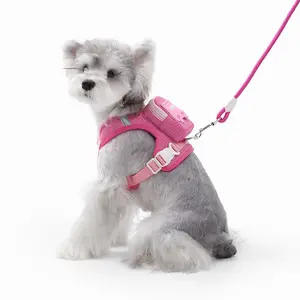 Pet Harness Backpack for Cats and Small Dogs, Mini Carry-On Bag with Adjustable Straps and Reflective Edges, Outdoor Travel Hiking Walks, Durable Reflective Harness