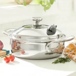 Princess House 2.5qt Stainless Steel 5 Ply Cacerola Vida Sana Cookware for Healthy Cooking