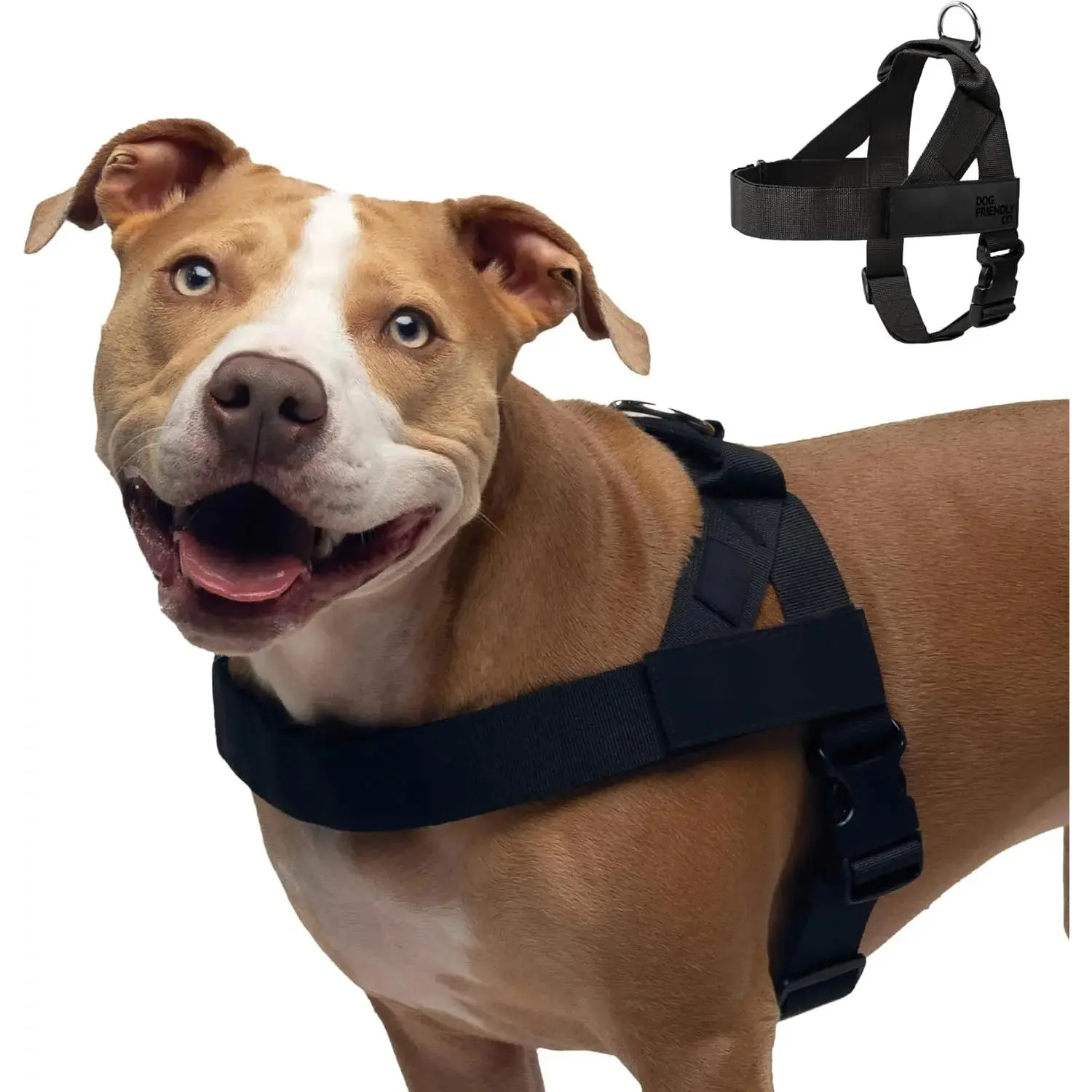 Non-Customized Dog Harness - Easy-to-Fit, No-Pull Choke-Free Design, Safe, Secure & Comfortable, Chafe-Resistant Lightweight Straps, Adjustable Straps for Perfect Fit (Ideal for All Dogs)