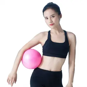 Pilates Ball, 9.5-10 Inch Small Exercise Ball, Core Ball Yoga Ball for Pilates, Stability, Workout, Core Training, Fitness, Barre, Balance Equipment