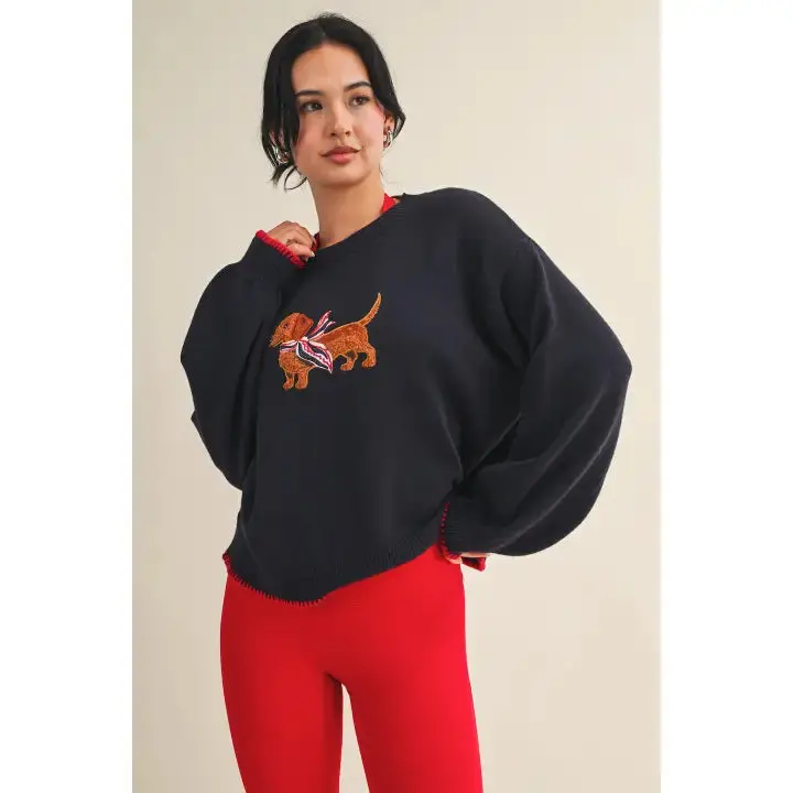Pretty Stitch Embroidered Knit Sweater