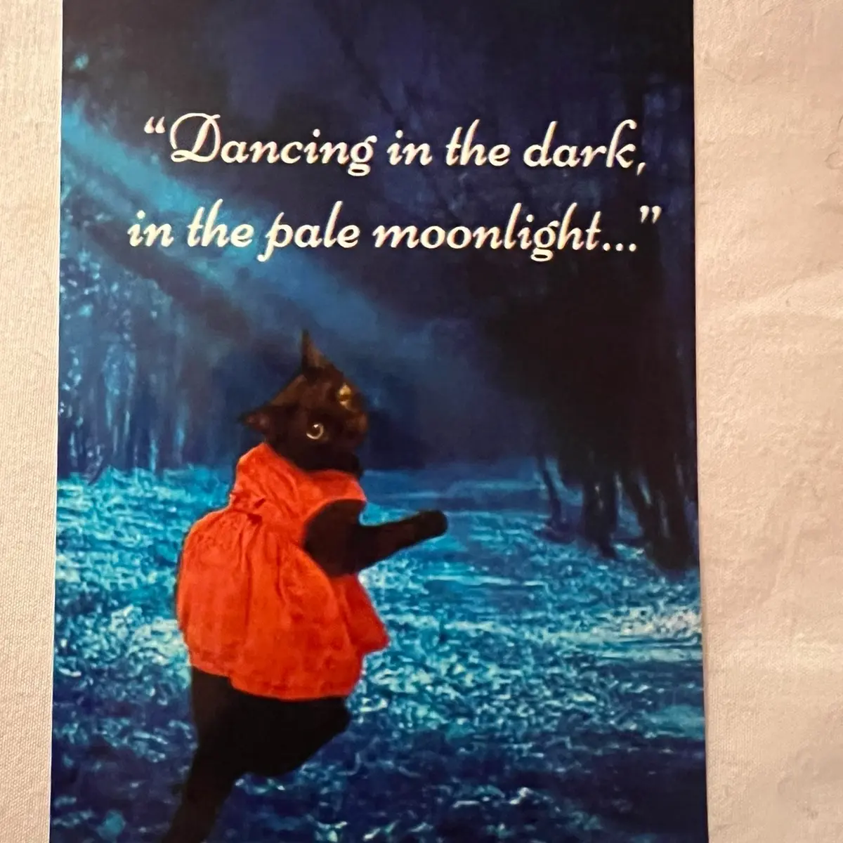 Summertime Sadness Limited Edition Cat In A Dress Collectible 4x6in Picture