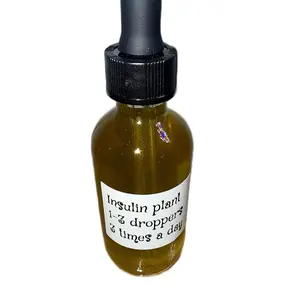 Insulin plant Tincture