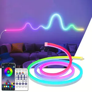 Smart WiFi RGBIC Neon Light Strip, USB 5V LED Waterproof Fairy Light, APP Control LED Light Strip Compatible with Alexa Google Assistant, Dynamic Led Lights