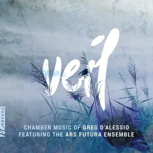 D'Alessio - Veil  [COMPACT DISC - CD]
