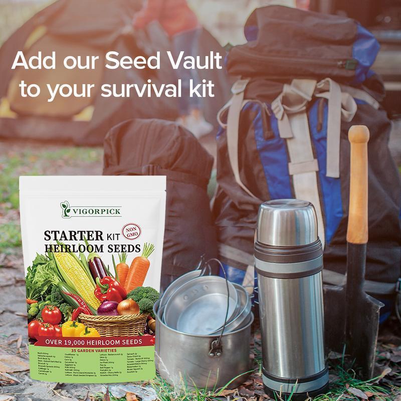 [Best seller] Organic Seed Collection Kit - 35 Selection Box for Indoor Planting with Cultivating Emergency Vegetables Heirloom Root Blend Great Growing Present for Every Family Yard