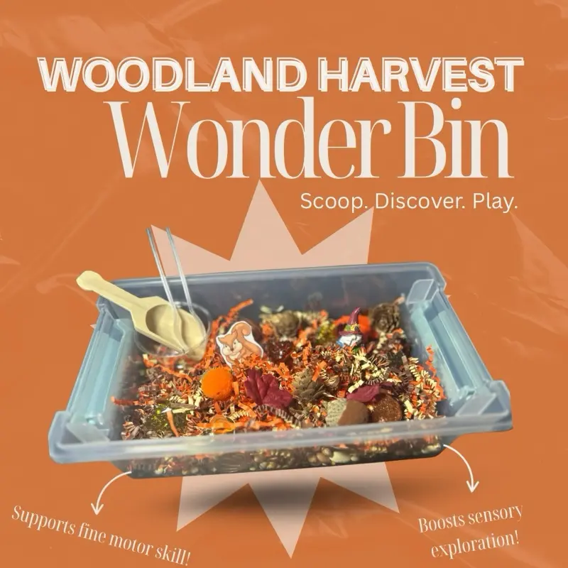 Woodland Harvest Wonder Bin - Fall themed sensory bin - Screen Free play - sensory play