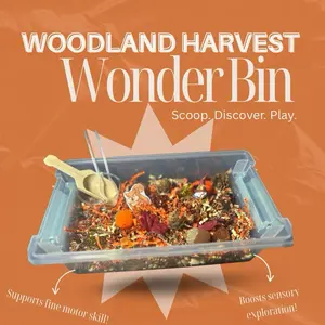 Woodland Harvest Wonder Bin - Fall themed sensory bin - Screen Free play - sensory play