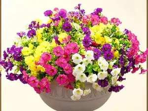 Cross-border 7-Head Artificial Eucalyptus Morning Glory Trumpet Flowers Outdoor Garden Decoration Greenery Plants/Buy 1 Get 1 Free
