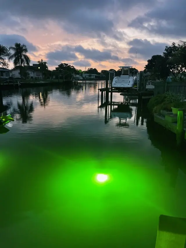 Saltwater Approved Barnacle Burner 250W 21,000 Lumens Automatic Dusk to Dawn Self-Cleaning 50' Marine Grade Cable Underwater Fish Light
