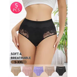 QUASTI 5 Pack High Waisted Sexy Lace Women's Briefs, Lightweight Multiple Colors Milk Silk Smooth  Mesh Panels, Skin-friendly Basic Fit Fashion Aesthetic Panties, Stretch Elegant Seamless Four Season Panty, S-XXL