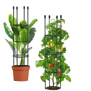 Garden Trellis, 2 in 1 Plant Cages & Supports for Vines Crop, Potted/Climbing Plants Indoor Outdoor, Plant Stake for Flower, Vegetable, Tomato