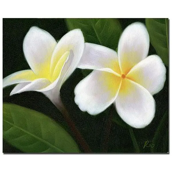 Trademark Fine Art Giclee Print - Hawaiian Lei Flowers' Ready to Hang