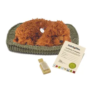 Original Toy Poodle Perfect Petzzz