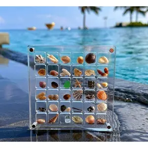 Acrylic shell storage box High permeability magnetic suction belt cover Seaside mini shell storage box Shell storage display box