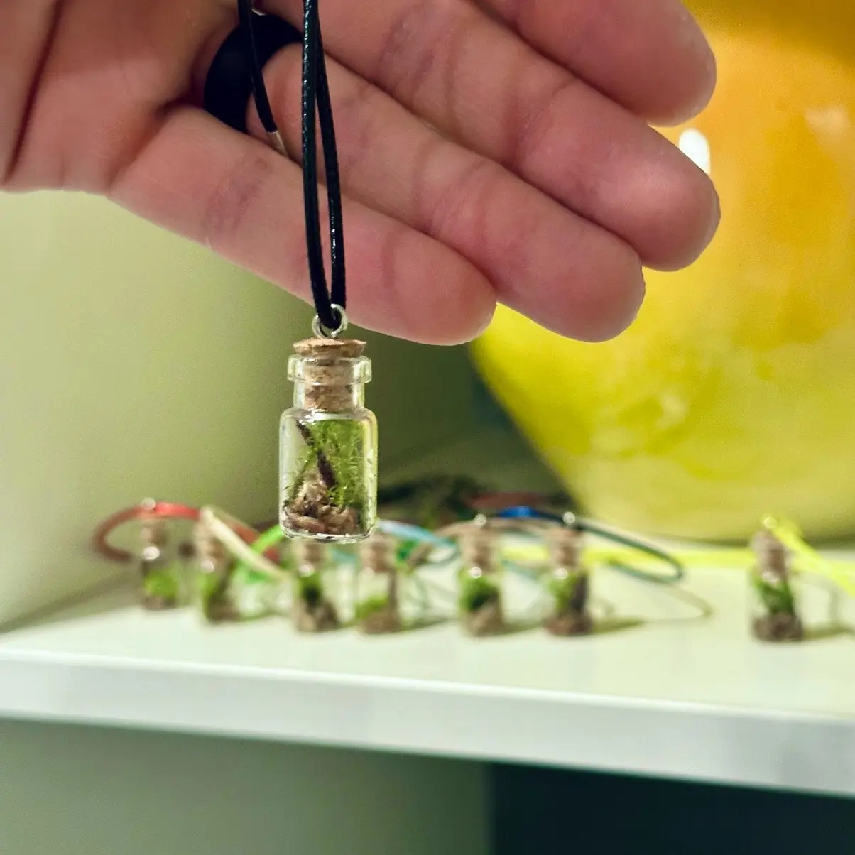 Tiny Terrarium Necklace Tiny Terrarium Necklace