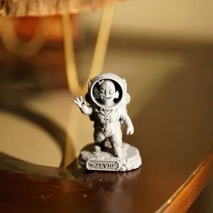 HI ZEV Booktok Figure