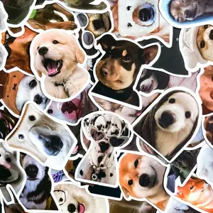 5 Random Must-Have Cute & Silly Animal Meme Stickers