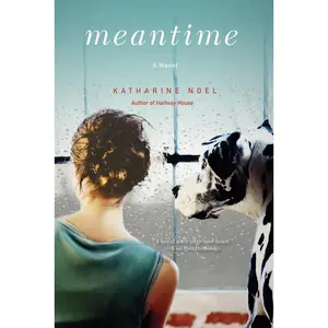 USED-Meantime by Noel, Katharine (Paperback)