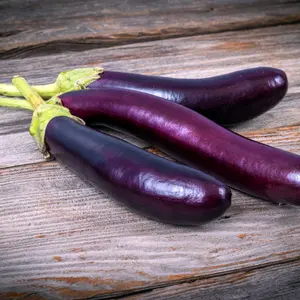 Organic Long Purple Eggplant Seeds (Solanum melongena) – 45+ seeds Heirloom, Mild, and Versatile