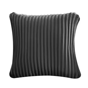 Throw Pillows  with the Sofa for Cozy LivingRoom