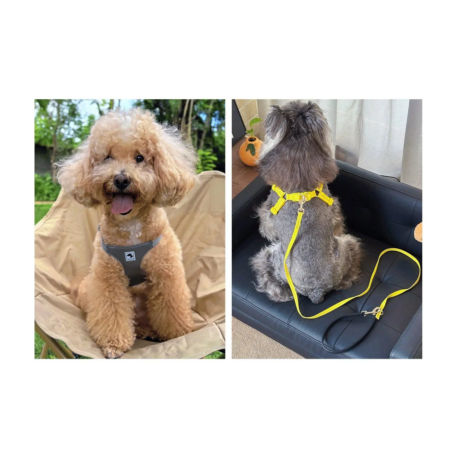 I-Shape Vest Harness For Small And Medium Dogs, Cute Comfort Design For Outdoor Walking I-Shape Vest Harness For Small And Medium Dogs, Cute Comfort Design For Outdoor Walking