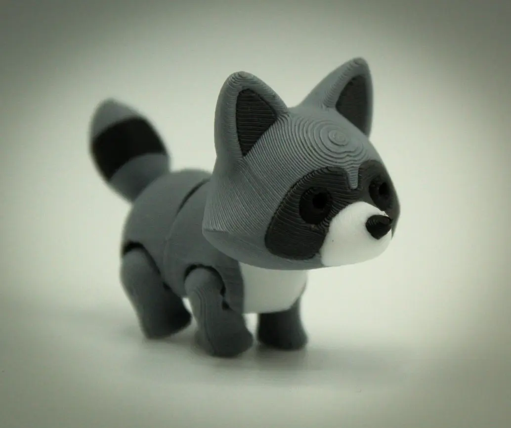 Raccoon
