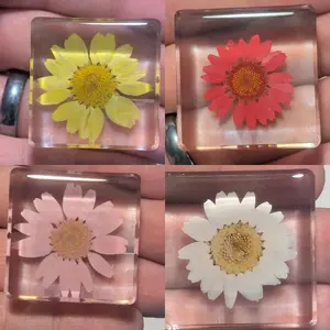 Daisy Flower - Preserved in Resin - Modern Day Fossil