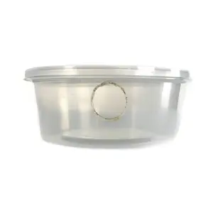 Humid Hide for Small Geckos