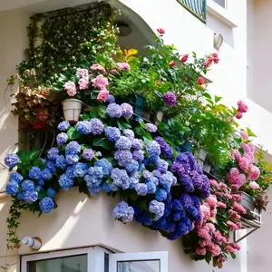 100+Mixed Hydrangea Seeds - Fast-Growing Shrub Flowers for Beautiful Outdoor Garden Décor, Fragrant Blooms, Easy to Grow, Perfect for Landscaping, Home & Garden Lovers, Ideal for Gifts