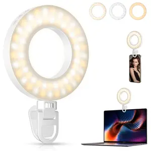 Rechargeable Clip-On Ring Light, 60 LED Selfie Ring Light for Phone, Laptop, Tablet, 3 Models, 4 Brightness Levels, Ideal for Photography, Selfie Accessories