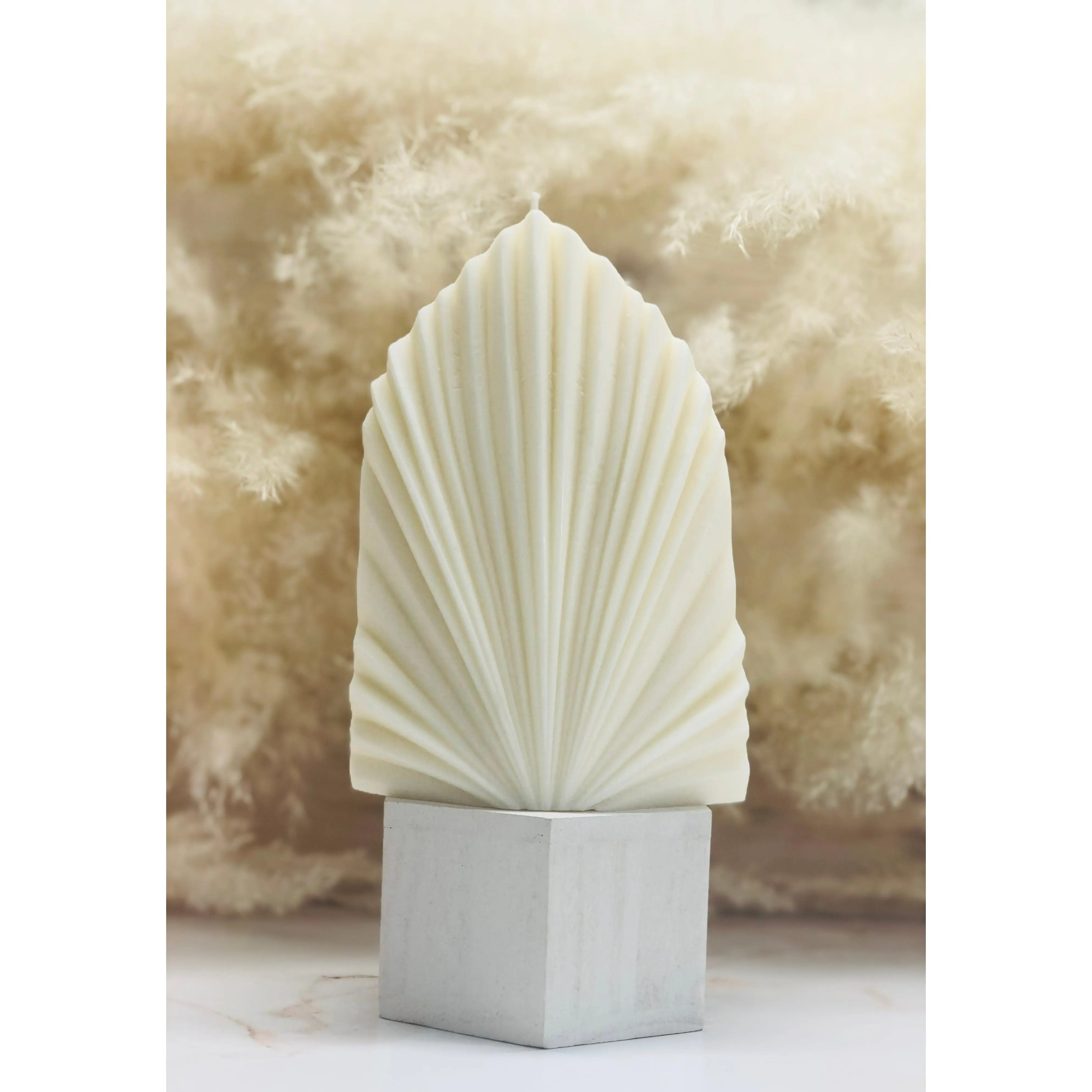 Coral Shell Candle