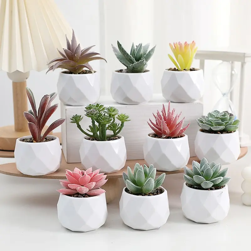 flower seeds for spring planting Cottage Garden Flower Seed Mix – All-Season Beauty for Your Garden –  Ferry-Morse main image 0