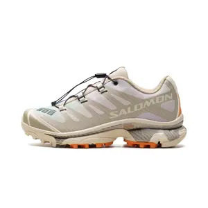 XT-4 OG "Aurora Borealis Shortbread" L47442400