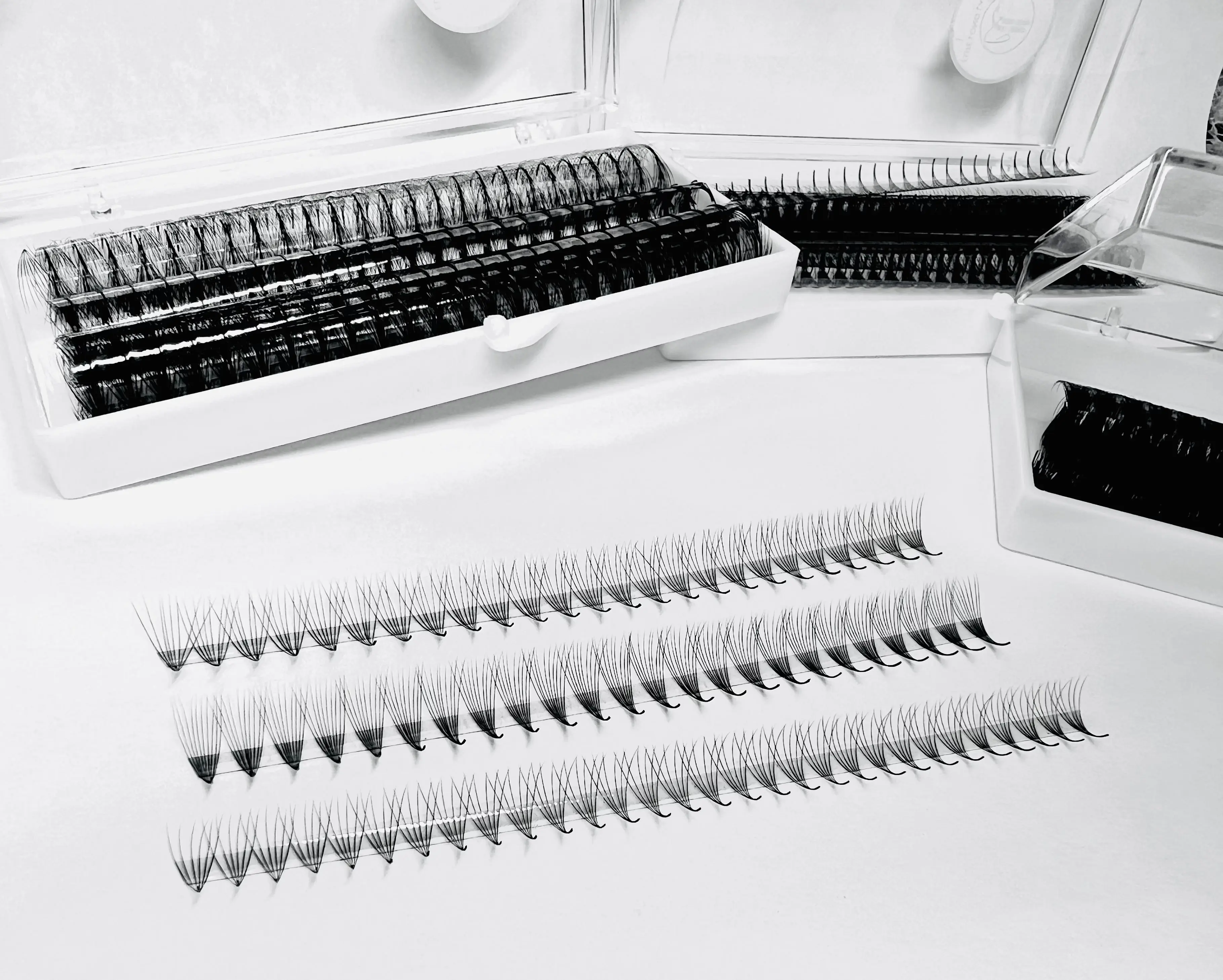Promade Volume Fans | 1000 Fans | C & D Curl | 6D | Ultra Boost