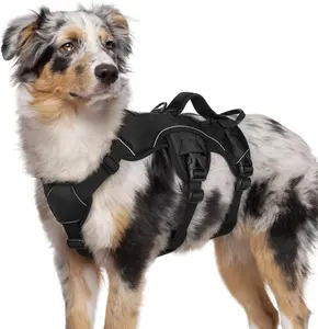 rabbitgoo Lift Assist Large Dog Harness with Handle
