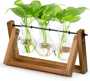 Plants Propagation Stations Retro Wooden Stand Desk Plant Terrarium for Hydroponics Home Garden Indoor Office Decor 3 Bulb Vase Gift for Women