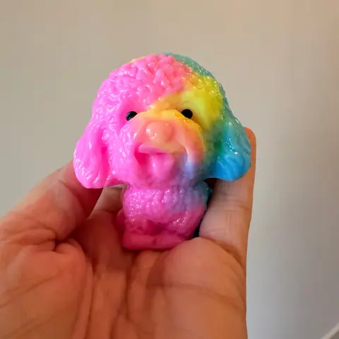 Sticky Rainbow Poodle Squishy The Toy Network
