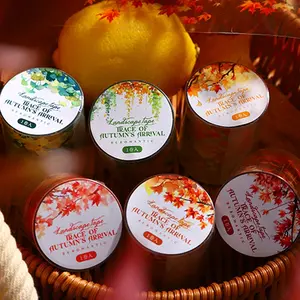 200cm Pet Tape Roll for DIY Crafts & Scrapbooking Supplies, Single Roll Decorative Adhesive Tape for Journaling, Students Gifts & Stationery Use