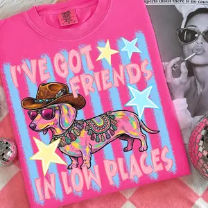 Comfort Colors I've Got Friends in Low Places Shirt, Funny Striped Weenie Dog Tee, Western Dachshund Women Everyday Casual Apparel Tshirt d1