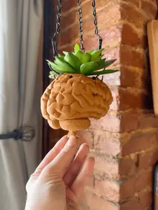 Hanging Brain Planter: 3D Printed Anatomy-Inspired Succulent Pot