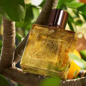 Men's Premium Cologne Eros Eau De Toilette, Long-Lasting Fragrance, High Quality Fragrance, Subtle and Unique Scent for Modern Gentlemen