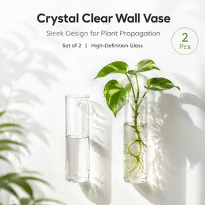 Two-piece set of transparent wall-mounted glass vases with stylish cylindrical planting tubes, suitable for plant propagation and home decoration.