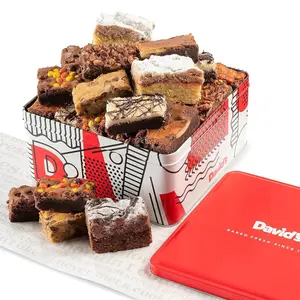 DAVID'S COOKIES 3lbs Fresh Baked Assorted Brownies & Crumb Cake Gift Tin - 16 Pcs Gourmet Chocolate Fudge Slices, Snack Cakes, Bakery Dessert Gift for Loved Ones