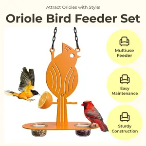 Hanging Oriole Bird Feeder (2026) - Bird Feeding Station with Transparent PP Bowl, Perch, Clementine/Mandarin/Orange Attachment Prongs, Outdoor Garden Decor for Backyard, Patio