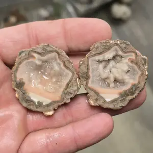 Baker Ranch Thunderegg - Natural Geode Collectible for Rock Enthusiasts